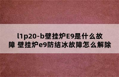 l1p20-b壁挂炉E9是什么故障 壁挂炉e9防结冰故障怎么解除